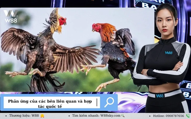 Phản ứng của các bên liên quan và hợp tác quốc tế